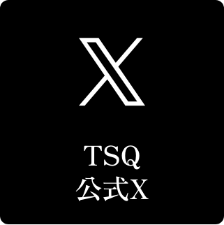 TSQ 公式X